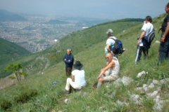 2006 - Oasi WWF Diecimare
